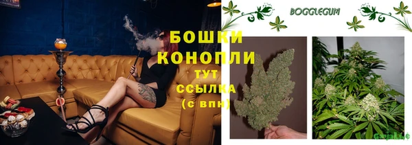 винт Новозыбков