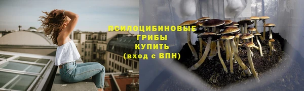 PSILOCYBIN Новодвинск