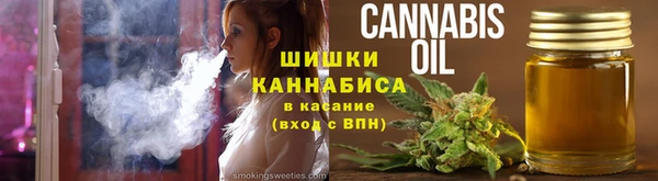 скорость Болотное