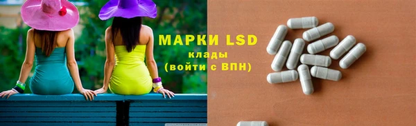 PSILOCYBIN Новодвинск
