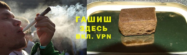 PSILOCYBIN Новодвинск