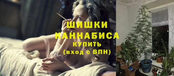 винт Новозыбков