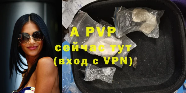 винт Новозыбков