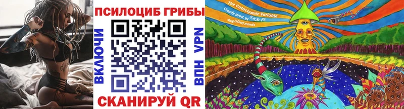 ОМГ ОМГ зеркало  Приморск  Галлюциногенные грибы MAGIC MUSHROOMS 